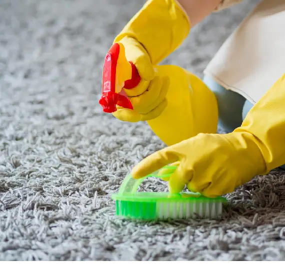 Choose the best among the best at Carpet Cleaning Altona